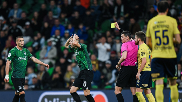 ЭСК: Рафаэль Шафеев ошибочно засчитал гол в ворота &laquo;Ростова&raquo;