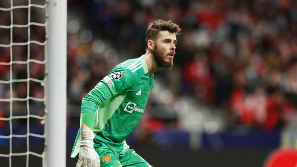 Шмейхель, Чех, Алиссон и еще семь лучших вратарей в истории АПЛ