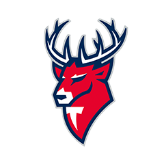 Расписание спортивных матчей 29 ноября 2023 года &mdash; live трансляции, текстовые трансляции, результаты, кто сыграет