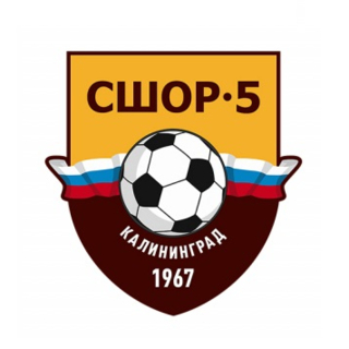 Первенство среди команд спортивных школ. Матчи за 5-20-е места