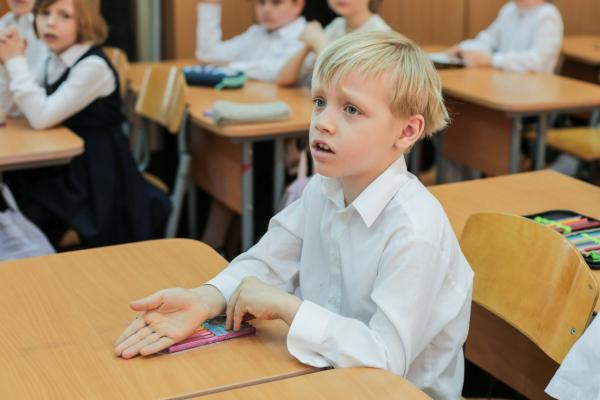 РФС и &laquo;ЛизаАлерт&raquo; провели уроки для детей из проекта &laquo;Футбол в школе&raquo;